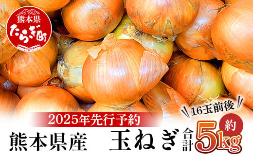 【先行予約】熊本県産 玉ねぎ 5kg (16玉前後) ≪2025年4月下旬から順次発送≫ 玉葱 野菜 数量限定 JAS たまねぎ オニオン 甘い サラダ ハンバーグ 肉じゃが カレー 065-0636 1506867 - 熊本県多良木町