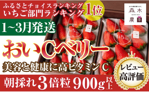 060-16　最高の贅沢をあなたに…森木農園の作る『超大粒おいCベリー』2トレイ　合計900ｇ以上【常温発送】 1122877 - 静岡県牧之原市