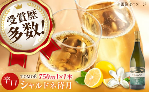 TOMOE シャルドネ 待月 白ワイン 辛口 750ml 12.5％ ワイン 受賞 飲み比べ ワインセット ギフト 三次市/広島三次ワイナリー[APAZ011]  342045 - 広島県三次市