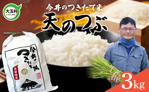 【 令和6年産 新米 】【 今井のつきたて米 】 天のつぶ ３ｋｇ 福島県 大玉村 てんのつぶ テンノツブ 米 今井農園 ｜ OT08-019-R6 276945 - 福島県大玉村