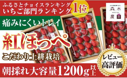 060-14　完熟 いちご ☆紅ほっぺ 400ｇ×3P 合計1200g以上 ※ゆりかごパックでお届け【常温発送】 1122879 - 静岡県牧之原市