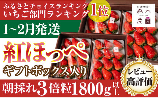 060-17　【1月～2月発送】最高の贅沢をあなたに…森木農園が育てる『大粒紅ほっぺ』４トレイ　合計1800ｇ以上【常温発送】 1122876 - 静岡県牧之原市