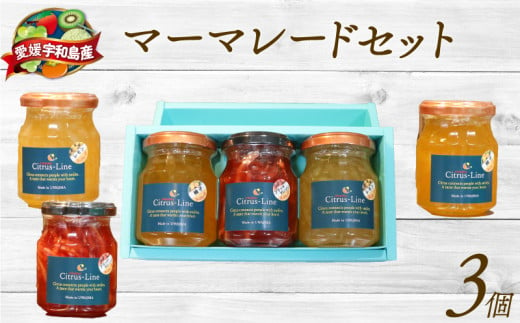 ＼10営業日以内発送／ マーマレード セット 130g × 3個 Citrus-Line ジャム 食べ比べ 果物 くだもの フルーツ 手づくり 金賞 柑橘 みかん 蜜柑 パン ヨーグルト 贈答 プレゼント ギフト 数量限定 国産 愛媛 宇和島 J014-098002 1544732 - 愛媛県宇和島市