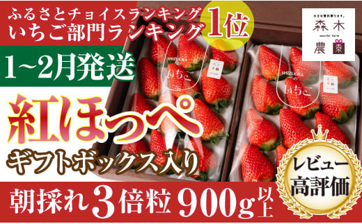 060-10　【1月～2月発送】最高の贅沢をあなたに…森木農園が育てる『超大粒紅ほっぺ』2トレイ 合計900ｇ以上 【常温発送】 1122881 - 静岡県牧之原市