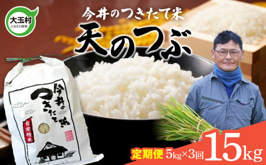 【 令和6年産 新米 】 【 今井のつきたて米 】 天のつぶ １５ｋｇ （毎月 ５ｋｇ×３回）【OT08-022-R6】 福島県 大玉村 てんのつぶ テンノツブ 米 定期便 今井農園