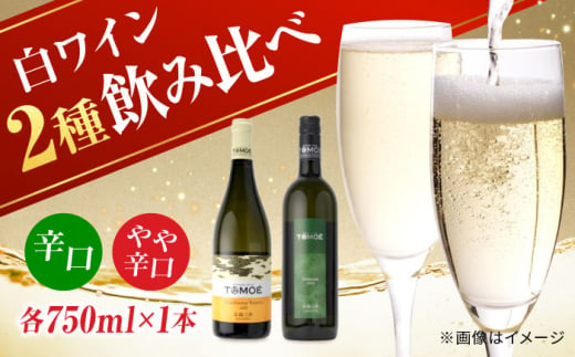 【お歳暮対象】TOMOE 白ワイン 2本セット B シャルドネ リザーブ 辛口 デラウェア ワイン 受賞 飲み比べ ワインセット ギフト 三次市/広島三次ワイナリー[APAZ017-999] 1535567 - 広島県三次市