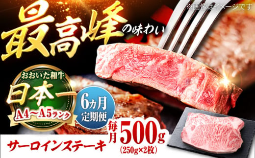 【全6回定期便】おおいた和牛 サーロインステーキ 500g (250g×2枚) 日田市 / 株式会社OTOGINO [AREF136]