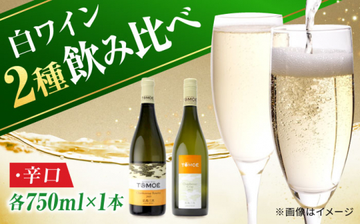 【お歳暮対象】TOMOEワイン2本セット A ワイン 受賞 飲み比べ ワインセット ギフト 三次市/広島三次ワイナリー[APAZ021-999] 1535572 - 広島県三次市