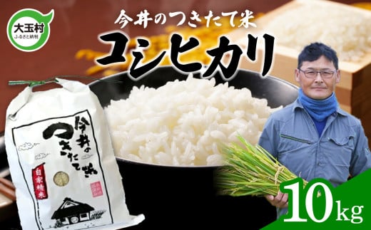 [令和6年産 新米 ] 米 10kg コシヒカリ [ 今井のつきたて米 ] こしひかり 福島県 大玉村 白米 精米 今井農園 | OT08-003-R6