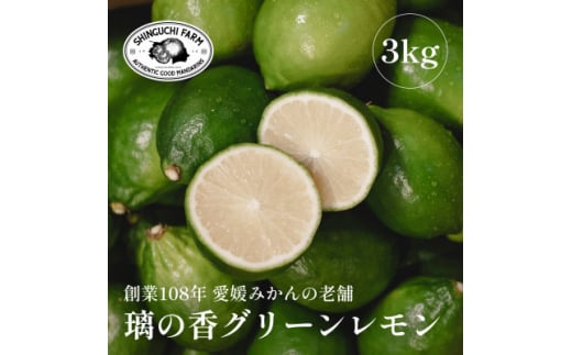 愛媛県産「皮が薄くて種が少ない」＜璃の香グリーンレモン 3kg＞新口農園＜C70-50＞【1550669】 1492758 - 愛媛県八幡浜市