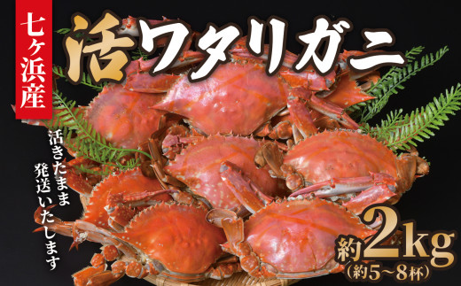 《 期間限定 / 数量限定 》七ヶ浜産 活ワタリガニ 約 2kg ( 5〜8杯 ) 生きたまま発送！《10月〜11月発送》 ｜ 七ヶ浜町 漁協 かに カニ 蟹 渡り蟹 ボイル パスタ ガザミ 国産 天然 ケジャン 茹でガニ 新鮮 ｜ jf-wg02-R6 1506399 - 宮城県七ヶ浜町