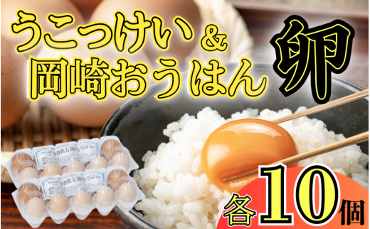 【33003】烏骨鶏＆岡崎おうはん薬膳鶏の自然な恵み！卵ペアセット