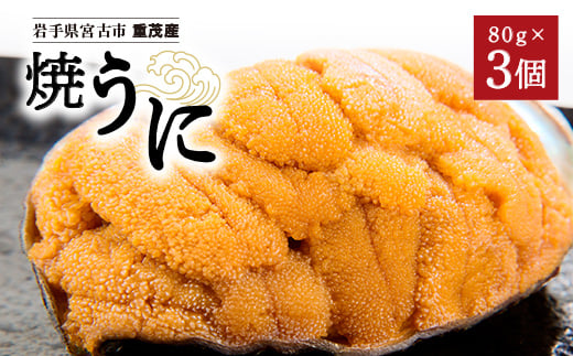 高級珍味「焼うに」3ヶセット【102392