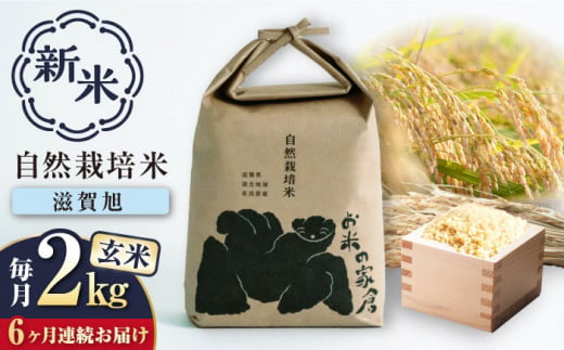 [新米:令和6年産][全6回定期便]自然栽培 在来種 滋賀旭 2kg 玄米 ×6回 滋賀県長浜市/株式会社お米の家倉 [AQCP045] 米 定期便 玄米 新米 2kg