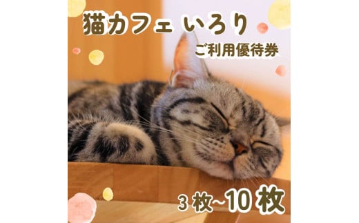 ペットん猫カフェ 営業時間 販売