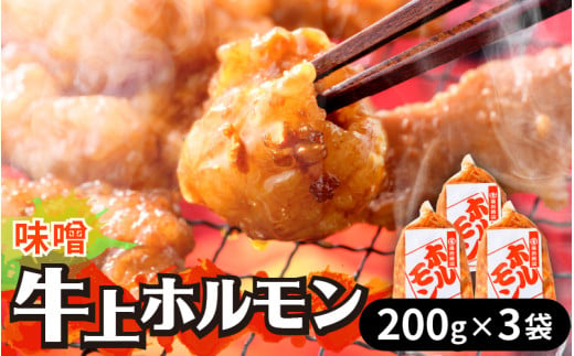 牛味噌 上ホルモン 200g×3袋(1〜2人前×3袋) 計600g [絶品!炒めるだけ簡単!] / 味付け 肉 焼肉 BBQ バーベキュー もつ ホルモン 小分け おつまみ 冷凍 アウトドア やみつき 人気