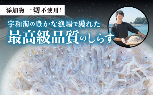 愛媛県伊方町のふるさと納税 【愛媛県・佐田岬直送】木嶋水産の釜揚げしらす 2kg（250g×8パック）｜ 魚介類 海産物 魚 釜揚げ しらす シラス 小分け やみつき ご飯のお供 おつまみ 酒の肴 おやつ しらす丼 サラダ 海産物 魚 冷凍 国産 愛媛県産　※離島への配送不可