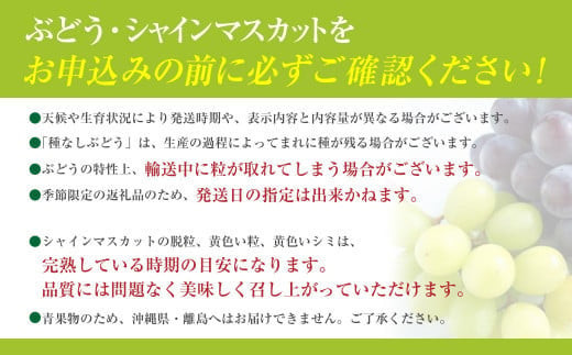 山梨県富士川町のふるさと納税 【2025年発送分 先行予約】頬張る幸福感　～緑の宝石・シャインマスカット～　３ｋｇ以上（４～６房） フルーツ 山梨県産 果物 シャイン マスカット ぶどう ブドウ 大粒 種なし 種無し 先行予約 富士川町