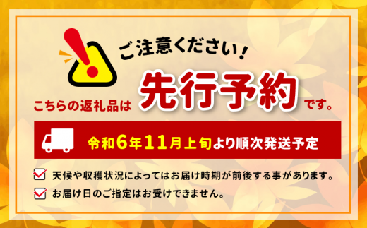 長野県松本市のふるさと納税 【11月上旬から順次発送】サンふじ　3㎏　（9～12玉）【先行予約】 ｜ サンふじ さんふじ 林檎 りんご 長野県 松本市 果物 フルーツ ふるさと納税