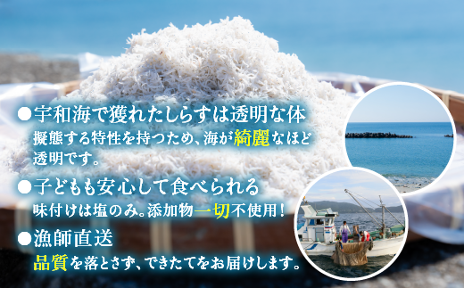 愛媛県伊方町のふるさと納税 【愛媛県・佐田岬直送】木嶋水産の釜揚げしらす 2kg（250g×8パック）｜ 魚介類 海産物 魚 釜揚げ しらす シラス 小分け やみつき ご飯のお供 おつまみ 酒の肴 おやつ しらす丼 サラダ 海産物 魚 冷凍 国産 愛媛県産　※離島への配送不可