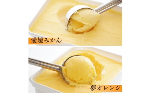 愛媛県愛南町のふるさと納税 柑橘アイス 計4L(1個1L 4種) 【夢おれんじ 河内晩柑 愛媛みかん しらぬい 】 アイス ジェラート シャーベット ソルベ アイスクリーム ランキング 人気 業務量 業務用 大容量 贈答用 プレゼント 訳あり ワケアリ 家庭用 みかん 柑橘 かんきつ まどんな 愛果28号 愛南ゴールド 不知火 デコポン ぽんかん 冷凍 冷凍みかん 冬 夏 みかん職人武田屋 愛媛県 愛南町