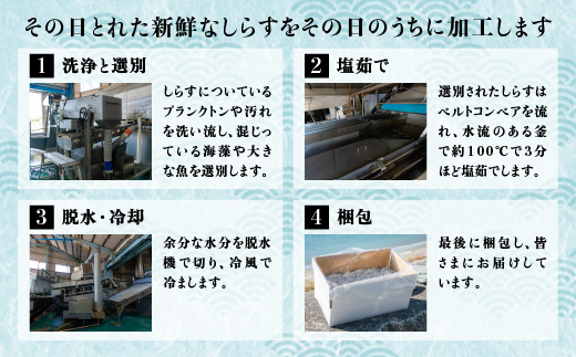 愛媛県伊方町のふるさと納税 【愛媛県・佐田岬直送】木嶋水産の釜揚げしらす 2kg（250g×8パック）｜ 魚介類 海産物 魚 釜揚げ しらす シラス 小分け やみつき ご飯のお供 おつまみ 酒の肴 おやつ しらす丼 サラダ 海産物 魚 冷凍 国産 愛媛県産　※離島への配送不可