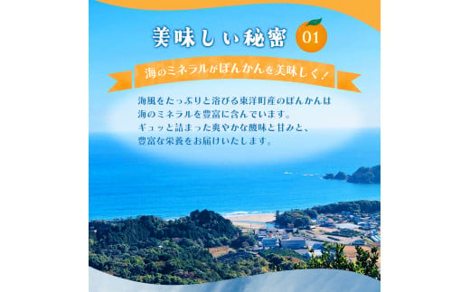 高知県東洋町のふるさと納税 【先行予約】完熟小玉ぽんかん＜5kg＞　F125