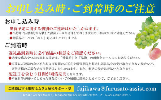 山梨県富士川町のふるさと納税 【2025年発送分 先行予約】頬張る幸福感　～緑の宝石・シャインマスカット～　３ｋｇ以上（４～６房） フルーツ 山梨県産 果物 シャイン マスカット ぶどう ブドウ 大粒 種なし 種無し 先行予約 富士川町