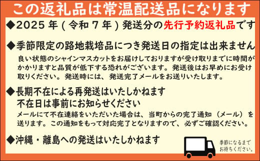 山梨県富士川町のふるさと納税 【2025年発送分 先行予約】頬張る幸福感　～緑の宝石・シャインマスカット～　３ｋｇ以上（４～６房） フルーツ 山梨県産 果物 シャイン マスカット ぶどう ブドウ 大粒 種なし 種無し 先行予約 富士川町