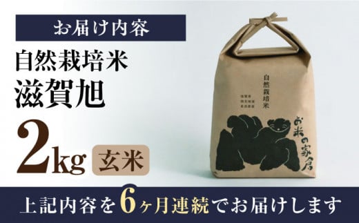 新米 令和6年 全6回定期便自然栽培 在来種 滋賀旭 2kg 玄米 ×6回  米 定期便 玄米 新米 2kg