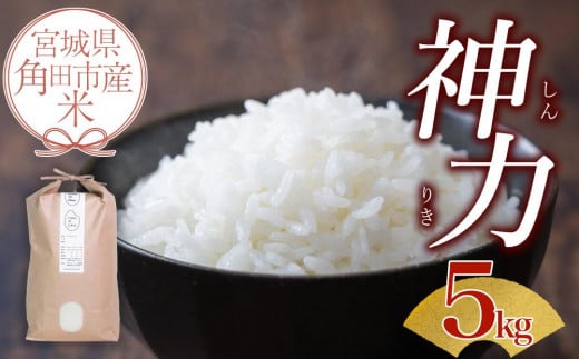 令和6年産 米 神力 5kg お米 白米 こめ ご飯 ごはん おにぎり 国産 お取り寄せ 人気 おすすめ 食品 宮城