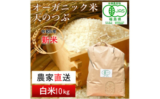 【令和6年産・新米】 南相馬 天のつぶ 10kg 10キロ JAS 有機米 根本有機農園 天のつぶ 白米 精米 新米 コメ ブランド米 福島 福島県産 低温貯蔵庫 送料無料 たんぱく質 旨い ふるさと納税 オンライン申請【3004401】 552641 - 福島県南相馬市