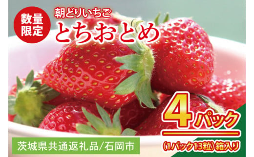 【先行予約】【数量限定】【朝どり】いちご とちおとめ４パック 2025年２月以降順次発送【茨城県共通返礼品／石岡市】【果物 くだもの フルーツ 苺 イチゴ 完熟 甘い 農家直送】（KU-1） 1446539 - 茨城県水戸市