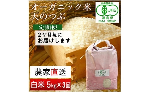 【令和6年産・新米】 南相馬 天のつぶ 定期便 5kg 5キロ 3回 15kg 15キロ JAS 有機米 根本有機農園 白米 精米 新米 コメ ブランド米 福島 福島県産 低温貯蔵庫 送料無料 旨い ふるさと納税 オンライン申請【3005201】 657206 - 福島県南相馬市