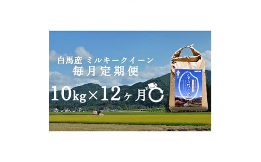 ＜毎月定期便＞長野県白馬村産ミルキークイーン10kg全12回【4057902】 1511838 - 長野県白馬村