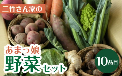 あまっ娘野菜セット（プレミアム） 10品目詰合せ 1519269 - 愛知県田原市