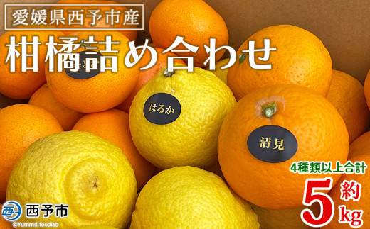 ＜愛媛県西予市産 柑橘詰め合わせ 合計約5kg＞ 果物 フルーツ お任せ おまかせ お楽しみ みかん ミカン 蜜柑 食べ比べ 詰合せ セット ご家庭用 柑橘 特産品 夕焼け山農園 愛媛県 西予市 【常温】