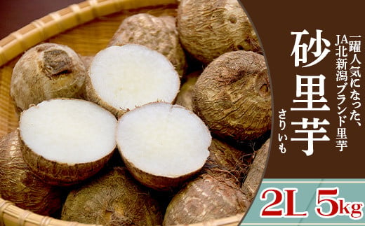 聖籠産 砂里芋（さりいも）2L 5kg【JA北新潟ブランド里芋】2024年11月中旬頃～発送予定 396979 - 新潟県聖籠町