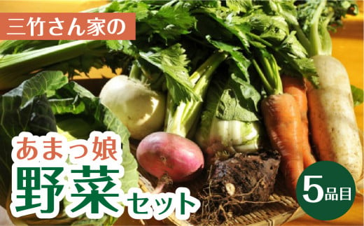 あまっ娘野菜セット（ライト）5品目詰合せ 1519268 - 愛知県田原市