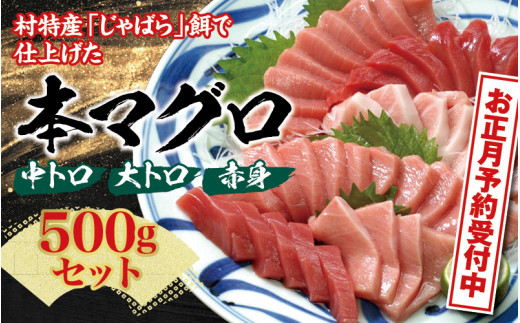 本マグロ（養殖）トロ＆赤身セット 500g　【年末発送（12月25日～30日発送）】【配達日指定不可】【nks110D-sg】 2205358 - 和歌山県北山村
