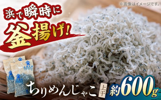 ちりめんじゃこ (上干) 約600g (約300g×2袋) 鮮度日本一を目指します！浜で瞬時に釜揚げ 【グレイジア株式会社】 [ATAC425] 438980 - 高知県高知市