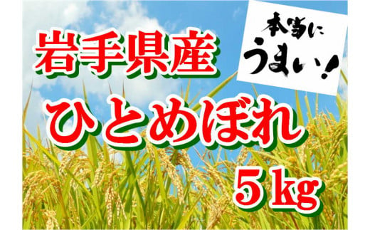 令和6年産 岩手県産 ひとめぼれ5kg 434703 - 岩手県大槌町