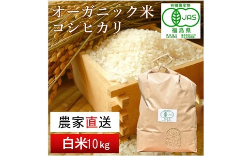 【令和6年産・新米】南相馬 コシヒカリ 10kg 10キロ JAS 有機米 根本有機農園 コシヒカリ 白米 精米 新米 コメ ブランド米 福島 福島県産 低温貯蔵庫 送料無料 たんぱく質 旨い ふるさと納税 オンライン申請【3003901】 552552 - 福島県南相馬市