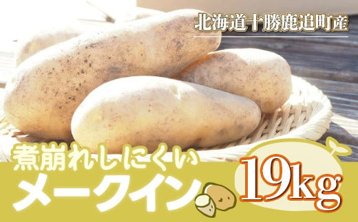 メークイン19kg 【 ふるさと納税 人気 おすすめ ランキング いも 芋 イモ じゃが芋 じゃがいも ジャガイモ メークイン 北海道 鹿追町 送料無料 】 SKW006 1088408 - 北海道鹿追町