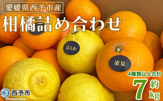 ＜愛媛県西予市産 柑橘詰め合わせ 合計約7kg＞ 果物 フルーツ お任せ おまかせ お楽しみ みかん ミカン 蜜柑 食べ比べ 詰合せ セット ご家庭用 柑橘 特産品 夕焼け山農園 愛媛県 西予市 【常温】 1509436 - 愛媛県西予市