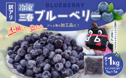 【訳アリ】三春冷凍ブルーベリー 1kg×1袋 【三春町産 冷凍ブルーベリー 大粒 福島県 三春町 三春ブルーベリー倶楽部 有機質肥料 果物 国産 フルーツ 果実 自宅用】【07521-0109】 1518614 - 福島県三春町