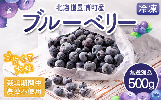 栽培期間中農薬不使用冷凍ブルーベリー　無選別品　500g 【ふるさと納税 人気 おすすめ ランキング 果物 ブルーベリー 冷凍ブルーベリー 国産ブルーベリー 濃厚ブルーベリー 大容量 無農薬 おいしい 美味しい あまい 新鮮 北海道 豊浦町 送料無料】 TYUS024 1509773 - 北海道豊浦町