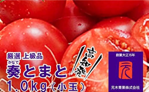 [先行予約]フルーツトマト「奏 (かなで) とまと」 (小玉) 約1kg化粧箱入 土佐郷 [2025年7月〜発送] [グレイジア株式会社] [ATAC320]