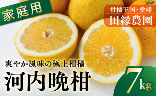 【先行予約】【家庭用】河内晩柑 7kg　※離島への配送不可　※2025年4月上旬頃より順次発送予定 1509018 - 愛媛県伊方町