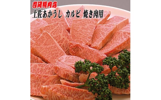 土佐あかうし カルビ (焼肉用) 約500g 幻の和牛 【グレイジア株式会社】 [ATAC031] 450165 - 高知県高知市